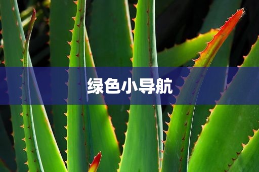 绿色小导航