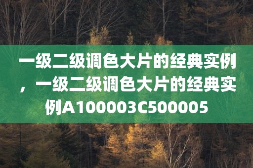 一级二级调色大片的经典实例，一级二级调色大片的经典实例A100003C500005