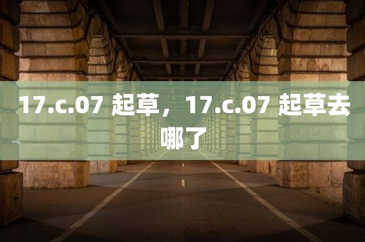 17.c.07 起草，17.c.07 起草去哪了