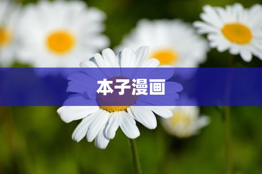 本子漫画