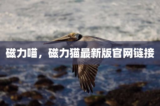 磁力喵，磁力猫最新版官网链接