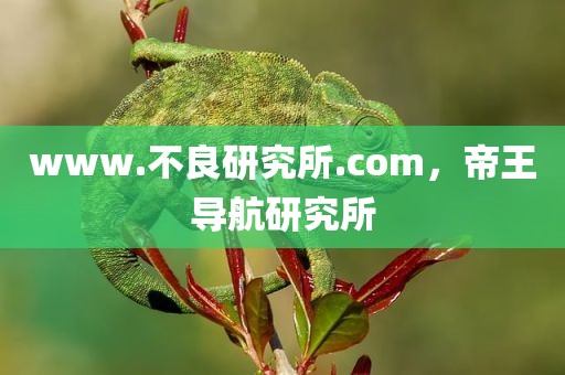 www.不良研究所.com，帝王导航研究所