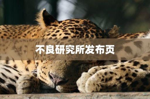 不良研究所发布页