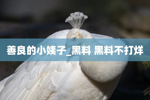 善良的小姨子_黑料 黑料不打烊