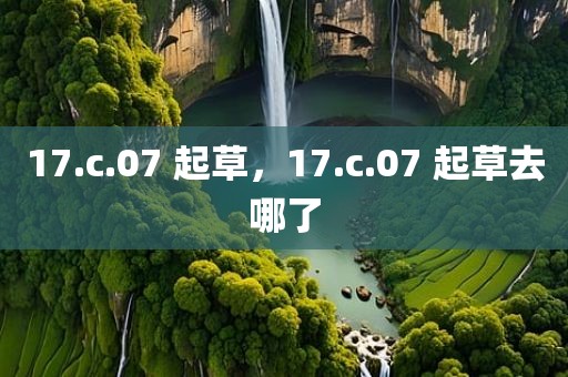 17.c.07 起草，17.c.07 起草去哪了