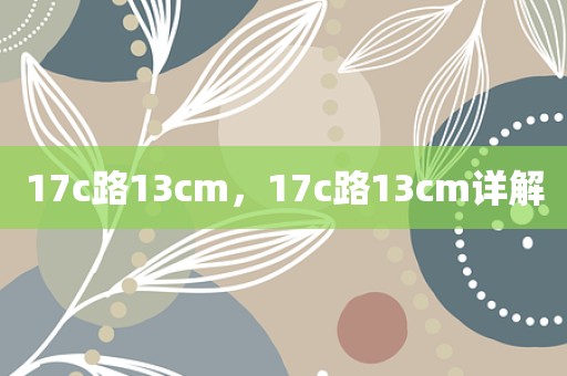 17c路13cm，17c路13cm详解