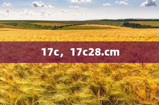 17c，17c28.cm