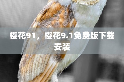 樱花91，樱花9.1免费版下载安装