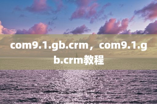 com9.1.gb.crm，com9.1.gb.crm教程
