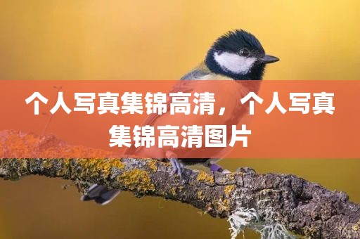 个人写真集锦高清，个人写真集锦高清图片