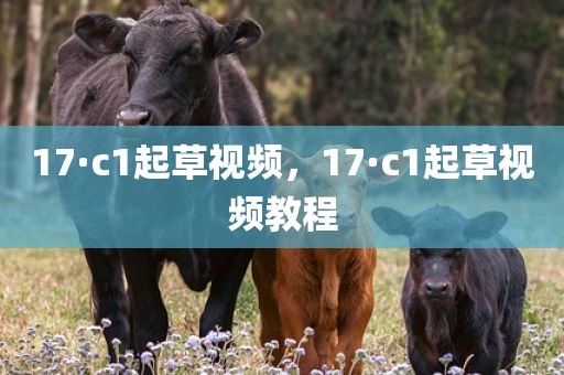 17·c1起草视频，17·c1起草视频教程