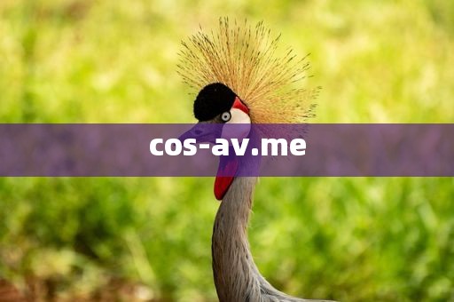 cos-av.me