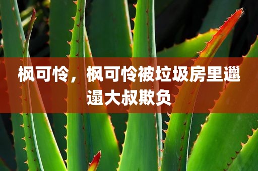枫可怜，枫可怜被垃圾房里邋遢大叔欺负