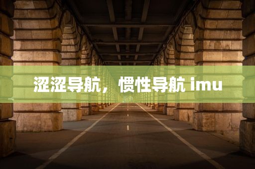 涩涩导航，惯性导航 imu