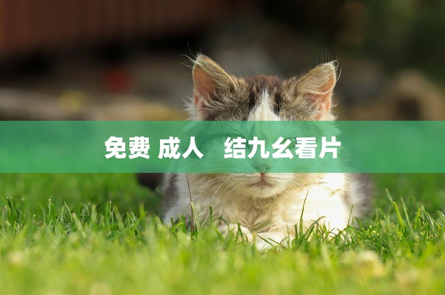 免费 成人   结九幺看片