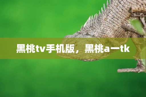 黑桃tv手机版，黑桃a一tk