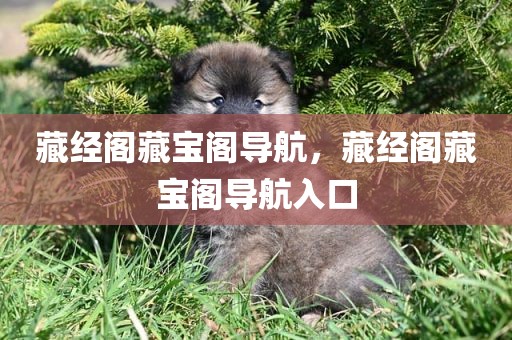 藏经阁藏宝阁导航，藏经阁藏宝阁导航入口