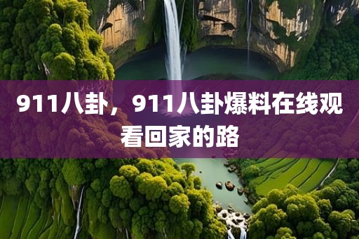 911八卦，911八卦爆料在线观看回家的路