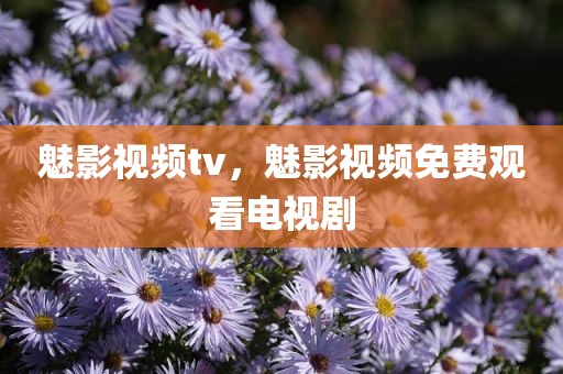 魅影视频tv，魅影视频免费观看电视剧