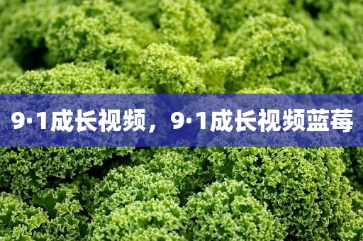 9·1成长视频，9·1成长视频蓝莓