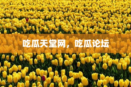 吃瓜天堂网，吃瓜论坛