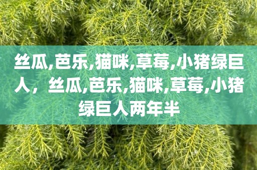 丝瓜,芭乐,猫咪,草莓,小猪绿巨人，丝瓜,芭乐,猫咪,草莓,小猪绿巨人两年半