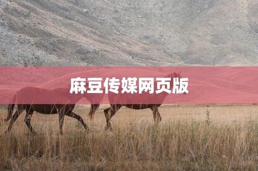 麻豆传媒网页版