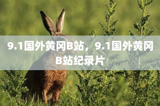 9.1国外黄冈B站，9.1国外黄冈B站纪录片