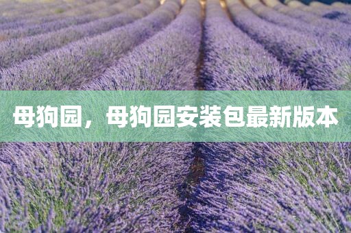 母狗园，母狗园安装包最新版本