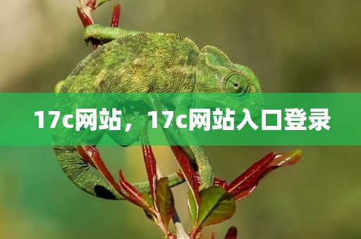 17c网站，17c网站入口登录