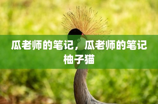 瓜老师的笔记，瓜老师的笔记柚子猫