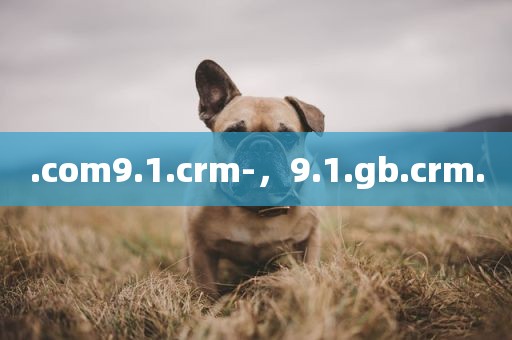 .com9.1.crm-，9.1.gb.crm.