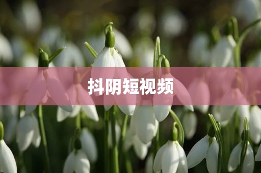 抖阴短视频