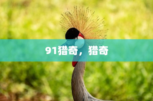 91猎奇，猎奇