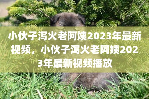 小伙子泻火老阿姨2023年最新视频，小伙子泻火老阿姨2023年最新视频播放