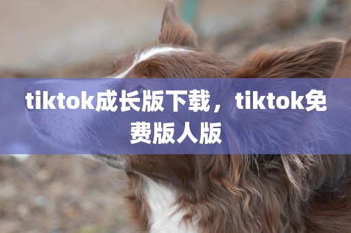 tiktok成长版下载，tiktok免费版人版