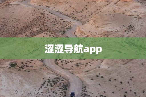 涩涩导航app