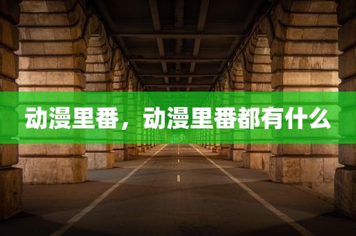 动漫里番，动漫里番都有什么