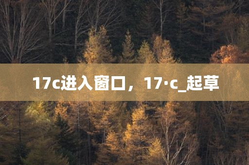 17c进入窗口，17·c_起草