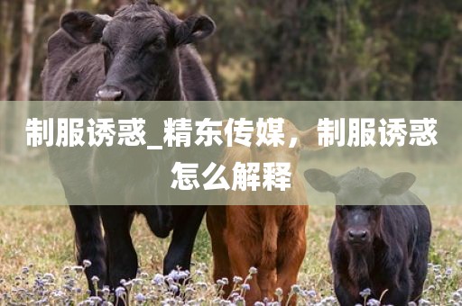 制服诱惑_精东传媒，制服诱惑怎么解释