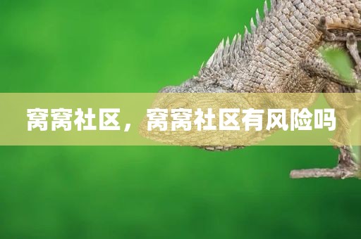 窝窝社区，窝窝社区有风险吗