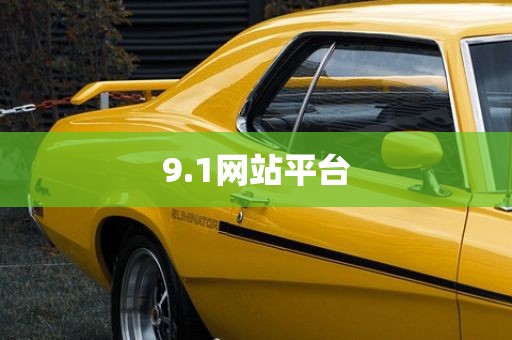 9.1网站平台