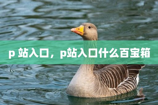 p 站入口，p站入口什么百宝箱