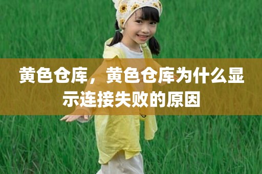 黄色仓库，黄色仓库为什么显示连接失败的原因