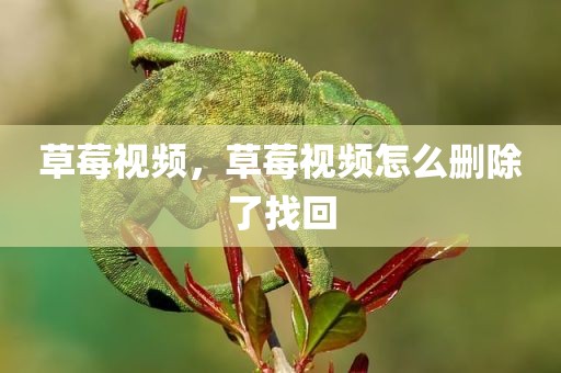 草莓视频，草莓视频怎么删除了找回
