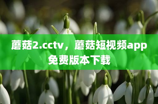 蘑菇2.cctv，蘑菇短视频app免费版本下载