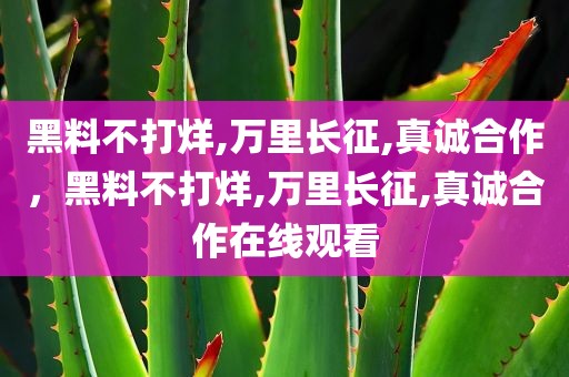 黑料不打烊,万里长征,真诚合作，黑料不打烊,万里长征,真诚合作在线观看