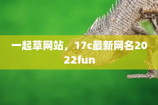 一起草网站，17c最新网名2022fun