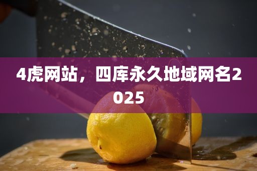 4虎网站，四库永久地域网名2025