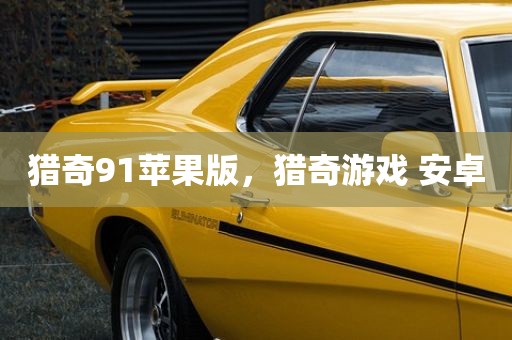 猎奇91苹果版，猎奇游戏 安卓